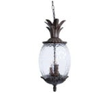 Lanai 3 Light Small Outdoor Pendant by Acclaim - 7516
