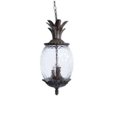 Lanai 3 Light Small Outdoor Pendant by Acclaim - 7516