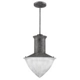 Skylar 1 Light Medium Pendant by Acclaim - IN21375
