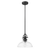 Virginia 1 Light Small Pendant by Acclaim - IN21147