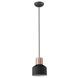 Ingo 1 Light Small Pendant by Acclaim - TP30065