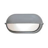 Nauticus 1 Light Frosted Glass Outdoor Wall Lantern by Access - 20291LEDDLP-9W