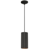 Pilson 10W 1 LED Modern Mini Pendant 10.5 Inch Tall by Access - 29001LEDDLP-C