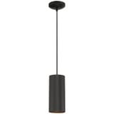 Pilson 1 Light Modern Mini Pendant 10.5 Inch Tall by Access - 29001-C