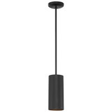 Pilson 10W 1 LED Contemporary Mini Pendant 10.5 Inch Tall by Access - 2900