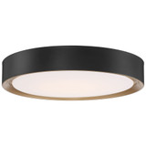 Malaga 40W 1 LED 23.75 Inch Wide Flush Mount by Access - 49972LEDD