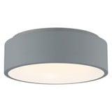 Radiant 1 Light 15 Inch Wide Flush Mount by Access - 50941