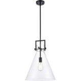 Newton 1 Light Cone Glass Medium Pendant by Innovations - 411-1S-14