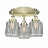 Edison 3 Light 17.75 Inch Wide Flush Mount by Innovations - 916-3C-G262