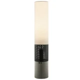 Sahirah 5W 1 LED Floor Lamp 58.25 x 11 Inches by Lite Source - LS-83674
