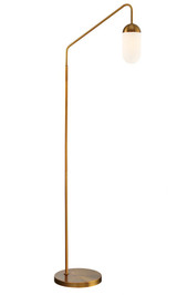 Firefly One Light Floor Lamp by Lite Source - LS-83340AB