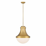 Purelight 1 Light Pendant 19 Inch Tall and 16.25 Inch Wide by Minka Lavery - 3934