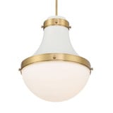 Purelight 1 Light Pendant 19 Inch Tall and 16.25 Inch Wide by Minka Lavery - 3934