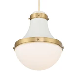 Purelight 1 Light Pendant 19 Inch Tall and 16.25 Inch Wide by Minka Lavery - 3934