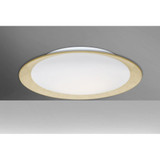Tuca 19 20W 1 LED 19.25 Inch Wide Flush Mount by Besa - TUCA19