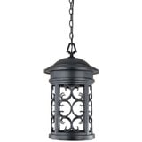 Ellington 1 Light Outdoor Small Pendant by Designers Fountain - 31134-11