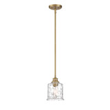 Drake 1 Light Small Pendant by Designers Fountain - 96330