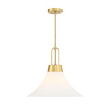 Evergreen Oasis 1 Light Pendant 18 Inch Wide by Designers Fountain - D339M-18P