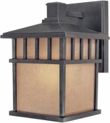 Barton Light Outdoor Wall Lantern 19.75 Inch Tall by Dolan - 9117