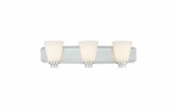 Southport 3 Light Vanity Light by Dolan - 3403