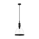 Van Nuys 1 Light Medium Pendant by Hunter Fans - 19295