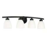 Jameson 4 Light Vanity Light by Homeplace - 114341
