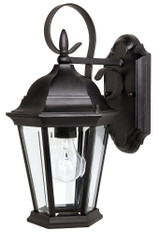 Carriage House 1 Light Outdoor Wall Lantern 15 Inch Tall by Capital - 9726