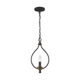 1 Light Small Pendant 15.25 Inch Tall by Generation - P1341