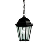 Birchgrave Close 1 Light Mini Outdoor Pendant by Bailey Street Home - 147-BEL-555769