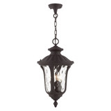 Foxglove Glebe 3 Light Mini Outdoor Pendant by Bailey Street Home - 218-BEL-1012227