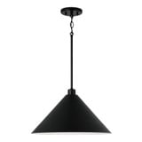 Alden 1 Light Large Pendant by Capital - 351311