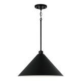 Alden 1 Light Large Pendant by Capital - 351311