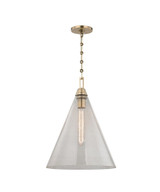 Conifer Terrace 1 Light Medium Pendant by Bailey Street Home - 116-BEL-2120974