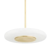 Flint Courtyard 26W 1 LED Light Large Pendant by Bailey Street Home - 116-BEL-1271523