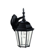 Birchgrave Close 1 Outdoor Wall Lantern 17 Inch Tall by Bailey Street Home - 147-BEL-555844