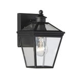 Ash Tree Passage 1 Light Outdoor Wall Lantern by Bailey Street Home - 159-BEL-145407