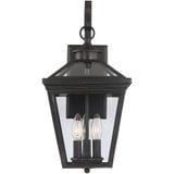 Ash Tree Passage 3 Light Outdoor Wall Lantern by Bailey Street Home - 159-BEL-145406