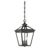 Ash Tree Passage 3 Light Small Outdoor Pendant by Bailey Street Home - 159-BEL-145402