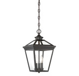 Ash Tree Passage 3 Light Small Outdoor Pendant by Bailey Street Home - 159-BEL-145402