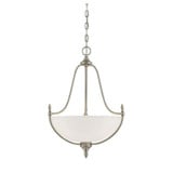 Woodland Vale 3 Light Large Pendant by Bailey Street Home - 159-BEL-1026952