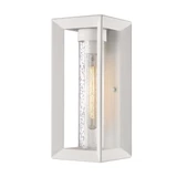 Vine Yard 1 Light Outdoor Wall Lantern by Bailey Street Home - 170-BEL-4476339