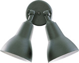 2 Light Medium Flood Light Medium by Bailey Street Home - 183-BEL-906333