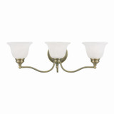 St George'S Hawthorns 3 Light Vanity Light by Bailey Street Home - 218-BEL-1029676