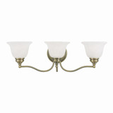 St George'S Hawthorns 3 Light Vanity Light by Bailey Street Home - 218-BEL-1029676