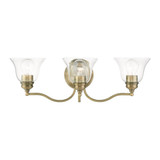 Roy King Gardens 3 Light Transitional Vanity Light by Bailey Street Home - 218-BEL-1219905