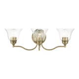 Roy King Gardens 3 Light Transitional Vanity Light by Bailey Street Home - 218-BEL-1219905