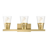 Dolphin Hey 3 Light Vanity Light by Bailey Street Home - 218-BEL-1305708