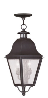Melrose Loan 2 Light Small Outdoor Pendant by Bailey Street Home - 218-BEL-1029711