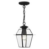 Vaughan Wynd 1 Light Small Outdoor Pendant by Bailey Street Home - 218-BEL-1029697