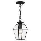 Vaughan Wynd 1 Light Small Outdoor Pendant by Bailey Street Home - 218-BEL-1029697